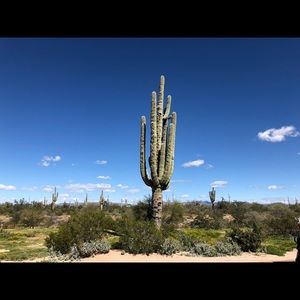 Meet your Posher, Nelson